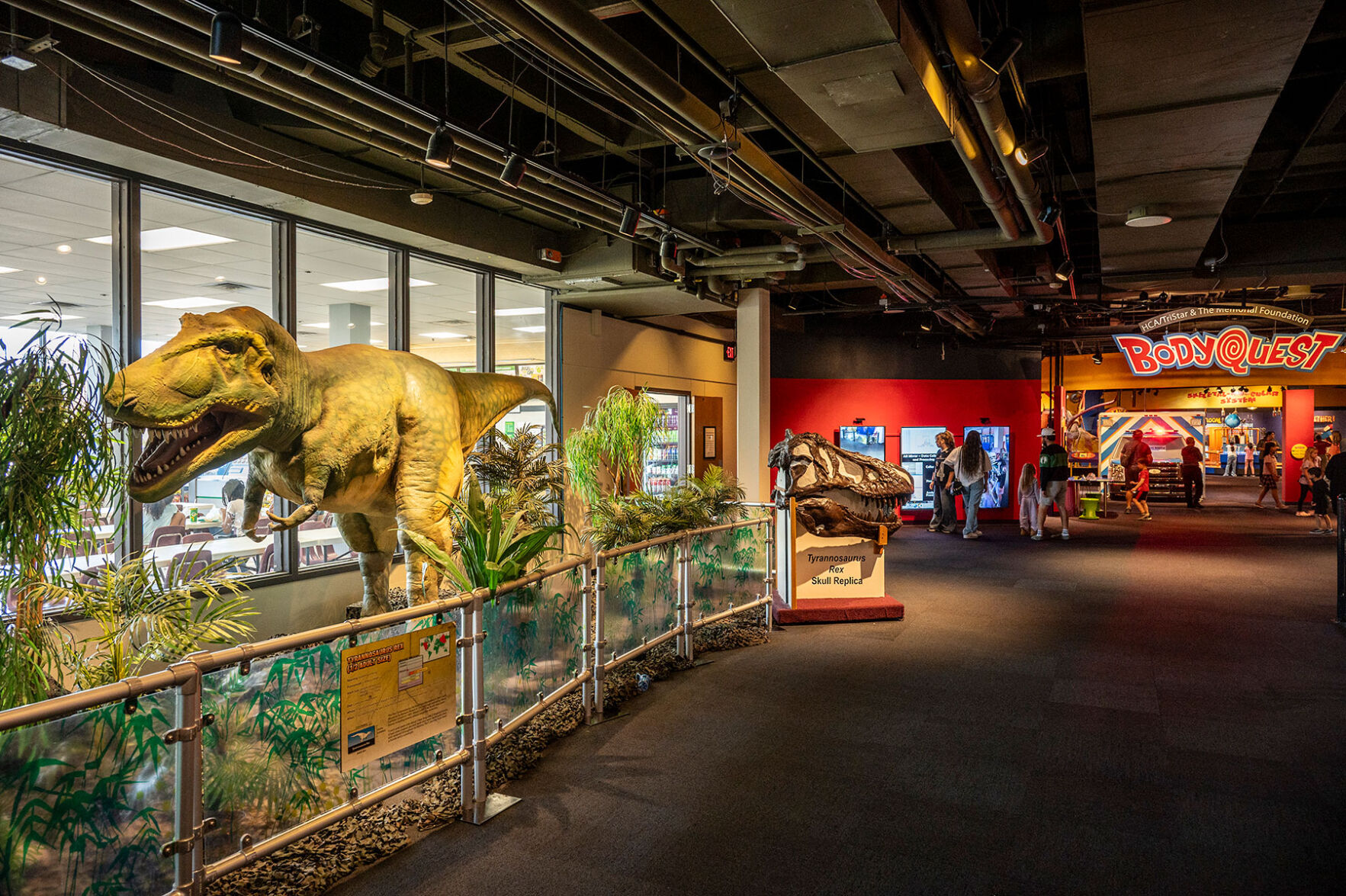 A model of a t-rex and a replica of a t-rex skull inside a museum
